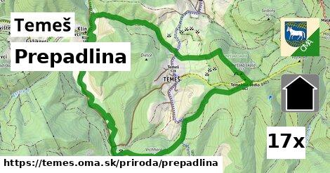 Prepadlina, Temeš