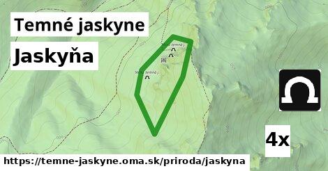 Jaskyňa, Temné jaskyne