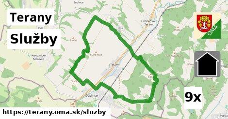 služby v Terany