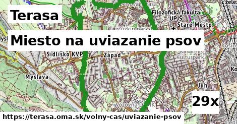 Miesto na uviazanie psov, Terasa