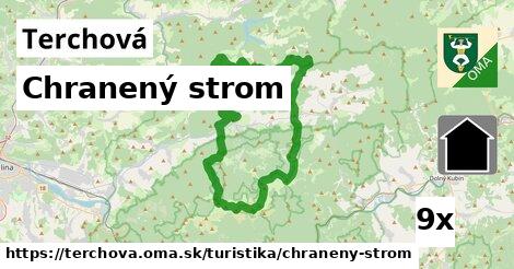 Chranený strom, Terchová