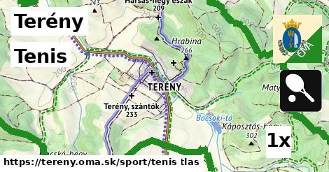 Tenis, Terény