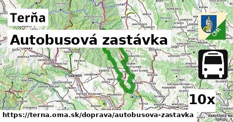 Autobusová zastávka, Terňa