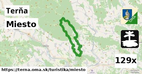 Miesto, Terňa