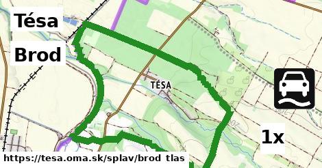 Brod, Tésa