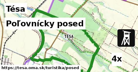 Poľovnícky posed, Tésa