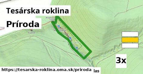 príroda v Tesárska roklina