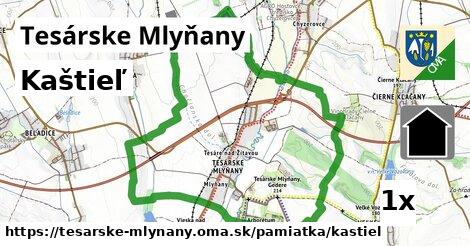 Kaštieľ, Tesárske Mlyňany