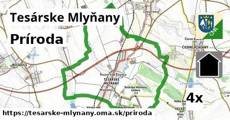 príroda v Tesárske Mlyňany