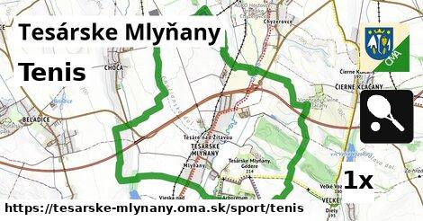 Tenis, Tesárske Mlyňany