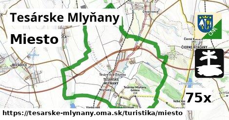 Miesto, Tesárske Mlyňany