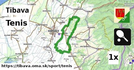 Tenis, Tibava