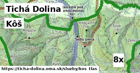 kôš v Tichá Dolina