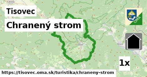 Chranený strom, Tisovec