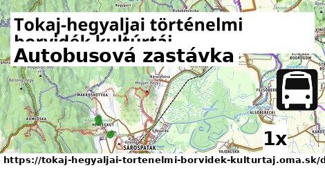 Autobusová zastávka, Tokaj-hegyaljai történelmi borvidék kultúrtáj