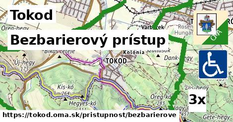 Bezbarierový prístup, Tokod