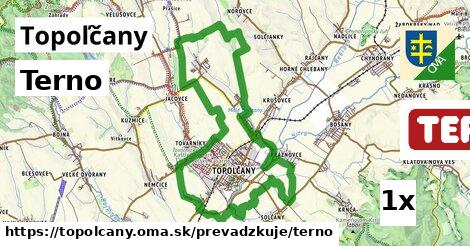 Terno v Topoľčany