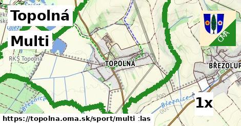 Multi, Topolná