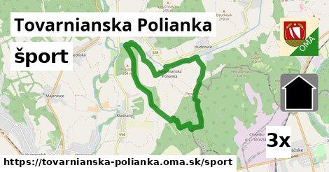 šport v Tovarnianska Polianka