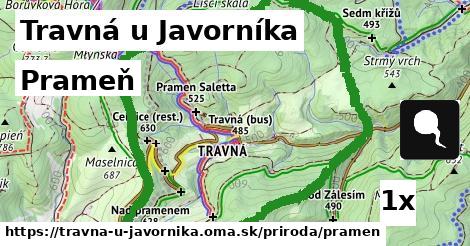 Prameň, Travná u Javorníka