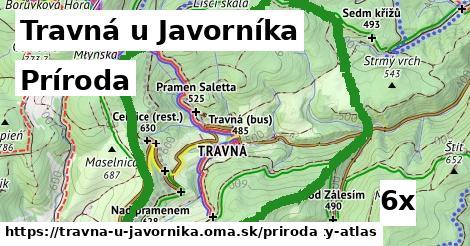 príroda v Travná u Javorníka