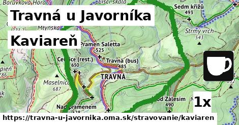 Kaviareň, Travná u Javorníka