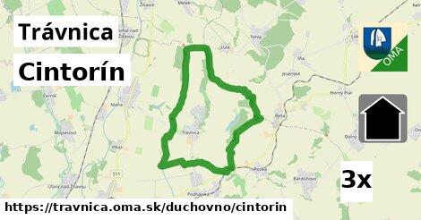 Cintorín, Trávnica