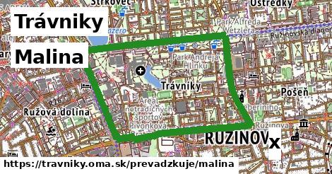 Malina, Trávniky