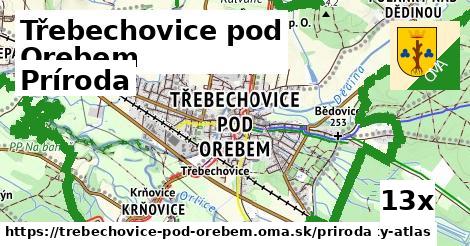 príroda v Třebechovice pod Orebem