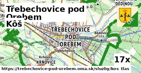 Kôš, Třebechovice pod Orebem