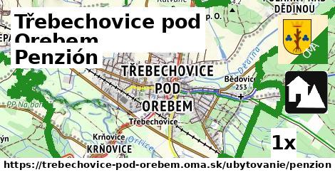 Penzión, Třebechovice pod Orebem