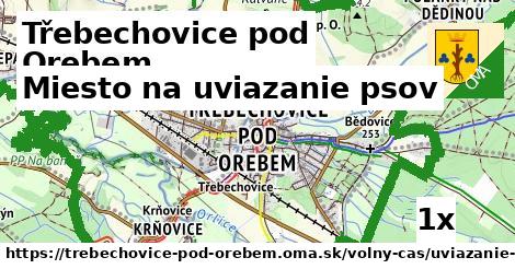 Miesto na uviazanie psov, Třebechovice pod Orebem