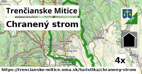 Chranený strom, Trenčianske Mitice