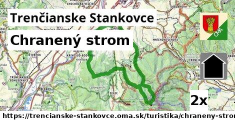 Chranený strom, Trenčianske Stankovce