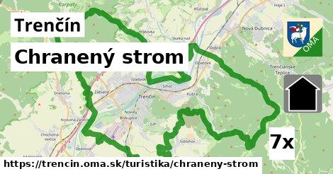 Chranený strom, Trenčín