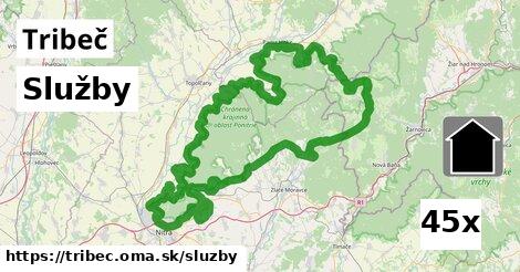 služby v Tribeč