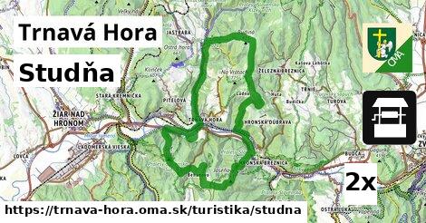 Studňa, Trnavá Hora