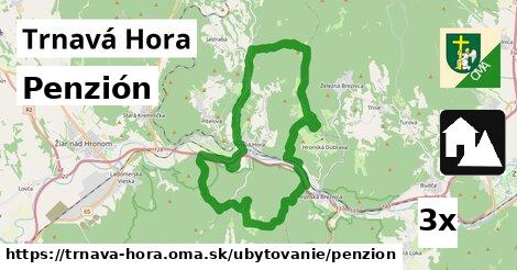 Penzión, Trnavá Hora