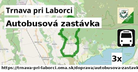 Autobusová zastávka, Trnava pri Laborci