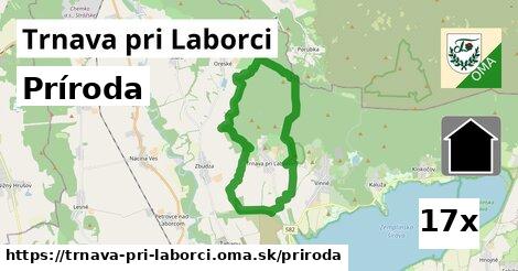 príroda v Trnava pri Laborci