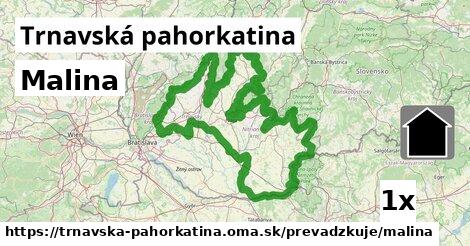 Malina, Trnavská pahorkatina