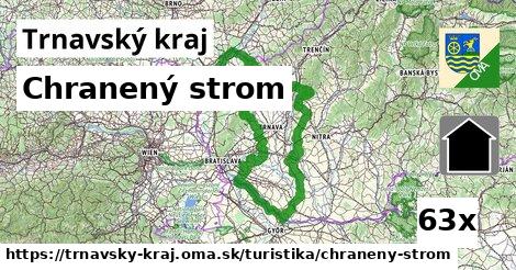 Chranený strom, Trnavský kraj