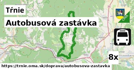 Autobusová zastávka, Tŕnie