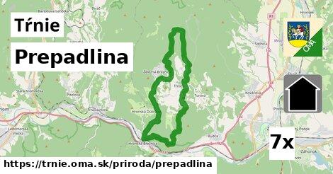 prepadlina v Tŕnie