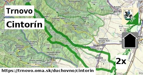 Cintorín, Trnovo