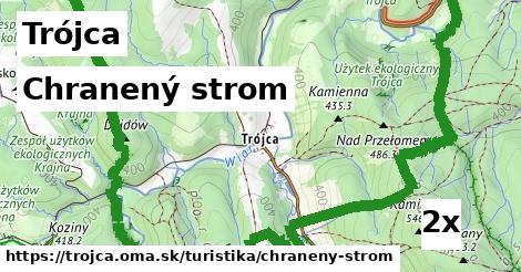 Chranený strom, Trójca