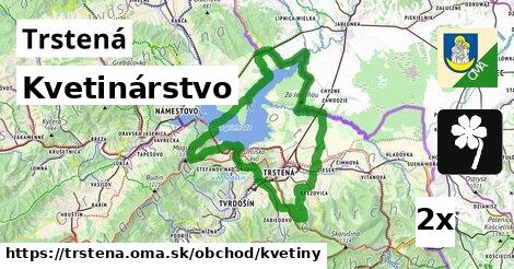 Kvetinárstvo, Trstená
