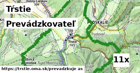 prevádzkovateľ v Tŕstie