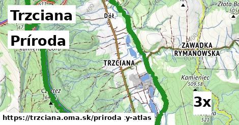 príroda v Trzciana