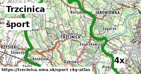 šport v Trzcinica